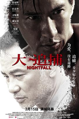 大追捕 (2012) / Night Fall / Nightfall / 4K电影下载 / Nightfall.2012.2160p.WEB-DL.H265.AAC.2Audio