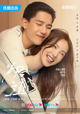 炽道 (2022) / Falling into You / 4K电视剧下载