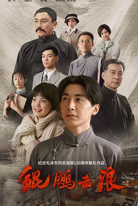 鲲鹏击浪 (2023) / 4K电视剧下载