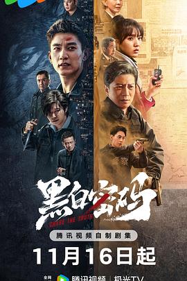 黑白密码 (2023) / Chase The Truth / 4K电视剧下载 / 阿里云盘分享