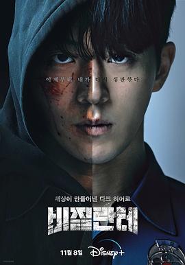 非法正义 비질란테 (2023) / 义务警察 / Vigilante / 4K韩剧下载 / 阿里云盘分享