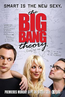 生活大爆炸 1-12季 The Big Bang Theory Season 1-12 (2007-2018) / 天才也性感 / 天才理论传 / 大爆炸理论 / 宅男行不行(台) / The.Big.Bang.Theory.S01-S12.1080p.BluRay.REMUX.AVC...
