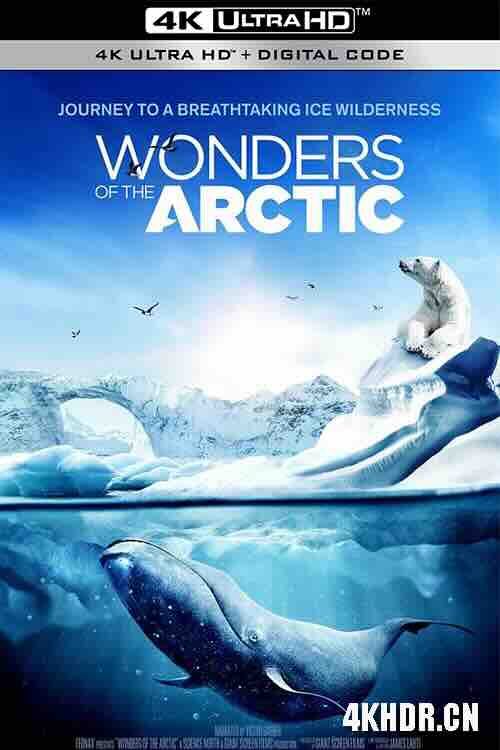 北极奇观 Wonders of the Arctic (2014) / 奇幻冰極(港) / 4K纪录片下载 / Wonders.of.the.Arctic.2014.DOCU.2160p.BluRay.REMUX.HEVC.HDR.DTS-HD.MA.TrueHD.7.1.Atmos-FGT
