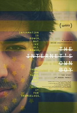 互联网之子 The Internet's Own Boy: The Story of Aaron Swartz (2014) / 斯沃茨的故事(台) / 网路之子：亚伦‧史沃兹 / 互联网之子：亚伦·斯沃茨的故事 / 蓝光纪录片下载 / The.Internets.Own.Boy.The.Story.of.Aaron.Swartz.2014.1080p.AMZN.WEBRip.DDP5.1.x264-PYrO