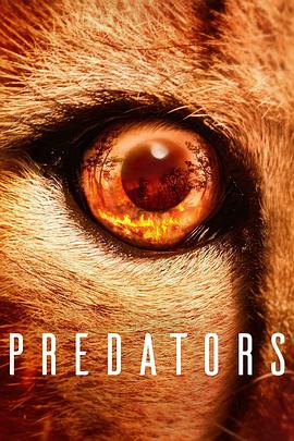 食肉动物 Predators (2022) / Predators - Jäger in Gefahr(德) / 捕食者の世界(日) / Predadores do Mundo Animal(巴西) / 4K纪录片下载 / Predators.2022.S01.2160p.NF.WEB-DL.DDP5.1.Atmos.DV.HDR.H.265-FLUX