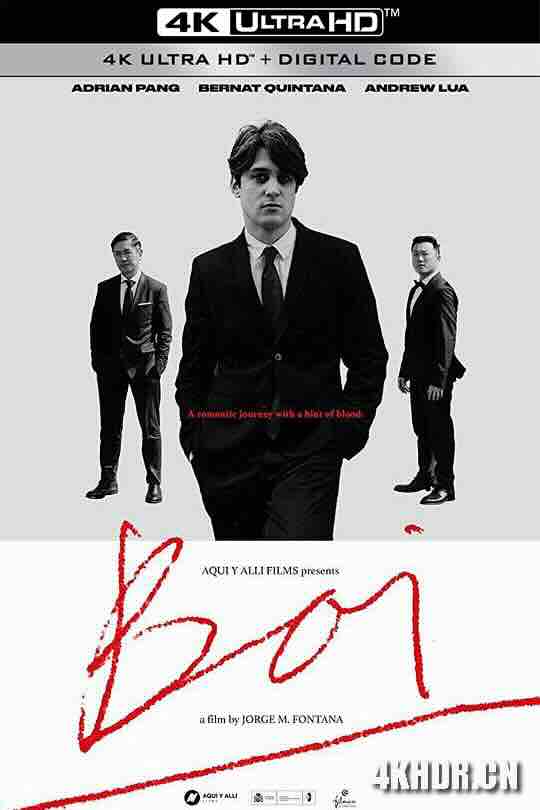 博伊 Boi (2019) / 4K电影下载 / Boi.2019.2160p.NF.WEB-DL.DDP.5.1.SDR.HEVC