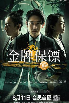 金牌保镖 (2023) / 《非常保镖》第二部 / 夸克网盘资源