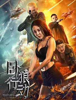 卧狼行动 (2023) / Operation.Hidden.Wolves.2023.2160p.IQY.WEB-DL.H265.AAC[中字] / 阿里云盘资源