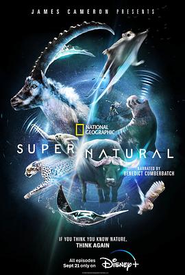 超凡动物奇观 Super/Natural (2022) / 超/自然 / 超级/自然 / 4K.UHD.2160P / 阿里云盘资源
