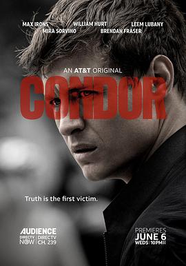 秃鹰 1-2季 Condor Season 1-2 (2018-2020) / Condor.S01-S02.2160p.WEB-DL.DDP5.1.HEVC-FLUX（阿里云盘资源）