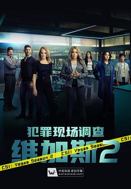 犯罪现场调查：维加斯 第二季 CSI: Vegas Season 2 (2022) / CSI.Vegas.S02.2160p.WEB-DL.x265.10bit.SDR.DDP5.1-NTb
