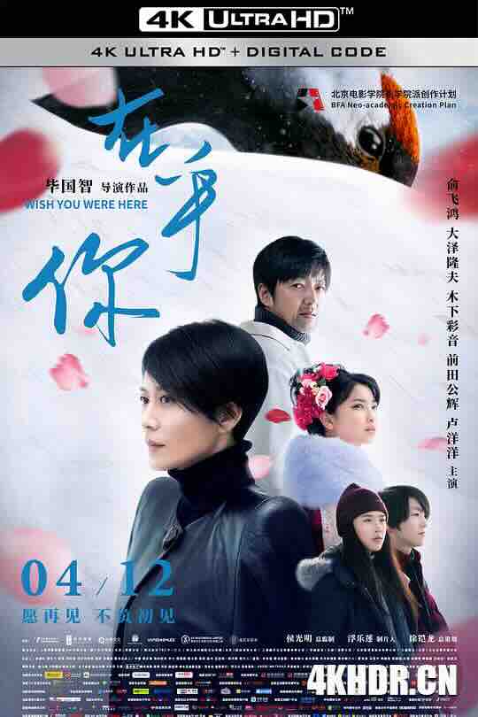 在乎你 (2019) / 我只在乎你 / Wish You Were Here / 4K电影下载 / Wish.You.Were.Here.2019.2160p.HQ.WEB-DL.H265.AAC