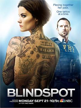 盲点 1-5季 Blindspot Season 1-5 (2015-2020) / Blindspot.S01.1080p.BluRay.REMUX.AVC.DTS-HD.MA.5.1-NOGRP[rartv]