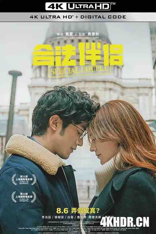 合法伴侣 (2019) / Special Couple / 4K电影下载 / Special.Couple.2019.2160p.WEB-DL.H265.DDP2.0