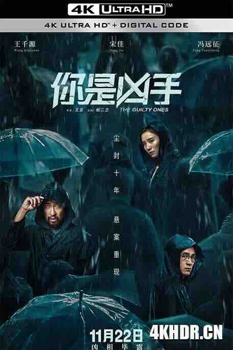 你是凶手 (2019) / 迷局英雄 / The Guilty Ones / The Convicted / 4K电影下载 / The.Guilty.Ones.2019.2160p.WEB-DL.H265.DV.AAC