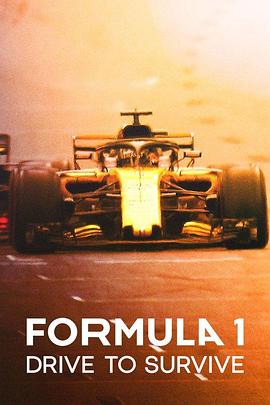 一级方程式：疾速争胜 第三季 Formula 1: Drive to Survive Season 3 (2021) / 一級方程式：極速求生 / 一级方程式：极速求生 / Formula.1.Drive.To.Survive.S03.2160p.NF.HFR....