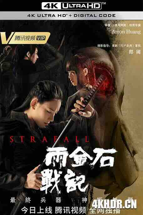 雨金石战记 (2023) / 4K电影下载 / Strafall.2023.2160p.WEB-DL.H265.AAC