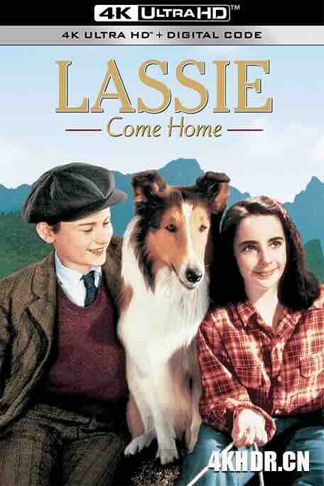 灵犬莱西 Lassie Come Home (1943) / 4K电影下载 / Lassie.Come.Home.1943.2160p.WEB-DL.H265.AAC