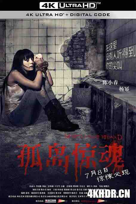 孤岛惊魂 (2011) / Mysterious Island / 4K电影下载 / Mysterious.Island.2011.2160p.WEB-DL.H265.AAC.2Audio