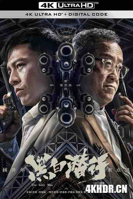 黑白潜行 (2024) / The Grey Men / 4K电影下载 / The.Grey.Men.2024.2160p.HQ.WEB-DL.H265.AAC.2Audio