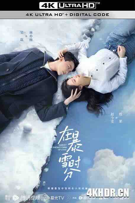 在暴雪时分 (2024) / Amidst a Snowstorm of Love / 4K电视剧下载