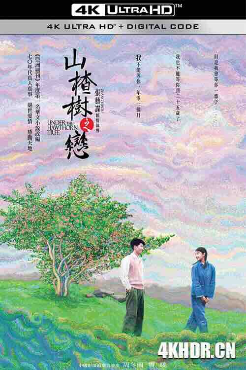 山楂树之恋 (2010) / 山楂树 / Under the Hawthorn Tree / 4K电影下载 / Under.the.Hawthorn.Tree.2010.2160p.WEB-DL.H265.AAC