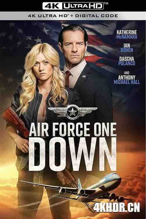 空军一号坠落 Air Force One Down (2024) / 4K电影下载 / Air.Force.One.Down.2024.2160p.AMZN.WEB-DL.DDP5.1.H.265-FLUX[TGx]