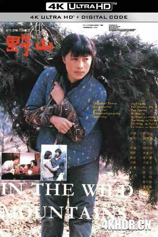 野山 (1986) / In the Wild Mountains / 4K电影下载 / Wild.Mountains.1986.2160p.WEB-DL.H265.DDP2.0