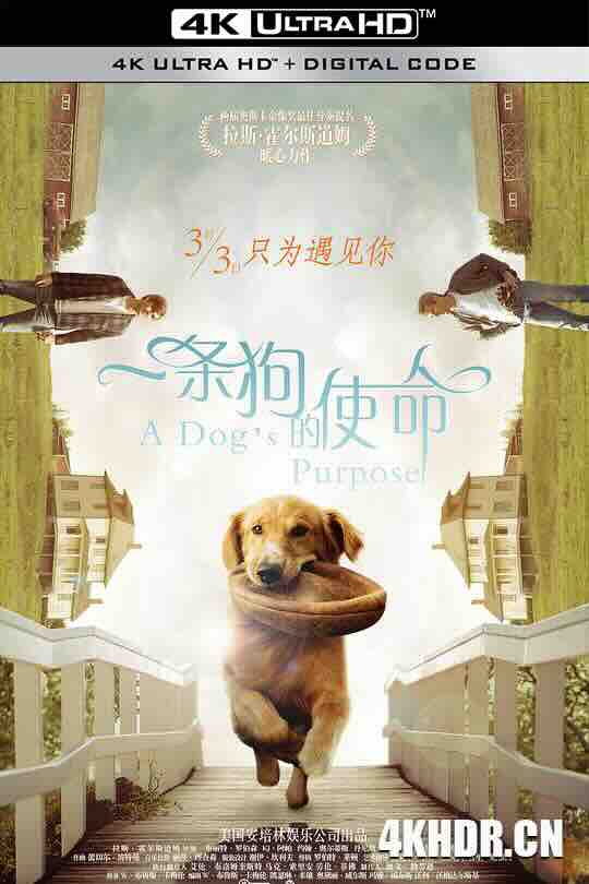 一条狗的使命 A Dog's Purpose (2017) / 为了与你相遇(台) / 再见亦是狗朋友(港) / 4K电影下载 / A.Dogs.Purpose.2017.2160p.HQ.WEB-DL.H265.60fps.DDP5.1.2Audio