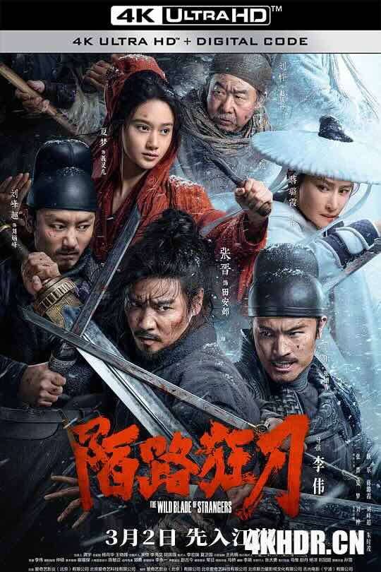 陌路狂刀 (2024) / The Wild Blade of Strangers / 4K电影下载 / The.Wild.Blade.of.Strangers.2024.HQ.2160p.WEB-DL.H265.DDP5.1.Atmos