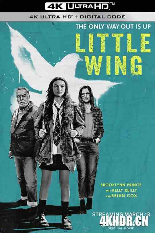 小翅膀 Little Wing (2024) / 4K电影下载 / Little.Wing.2024.HDR.2160p.WEB.H265