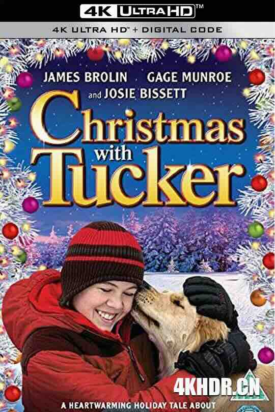 与塔克的圣诞节 Christmas with Tucker (2013) / 与塔克共度的圣诞节 / 4K电影下载 / Christmas.with.Tucker.2013.2160p.WEB-DL.H265.AAC