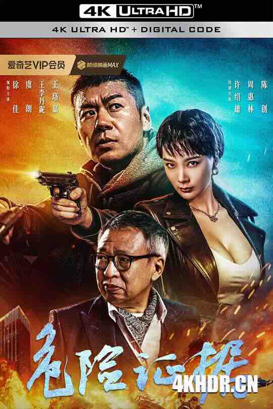 危险证据 (2024) / 4K电影下载 / Dangerous.Evidence.2024.2160p.WEB-DL.H265.HQ.AAC