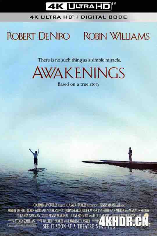 无语问苍天 Awakenings (1990) / 睡人 / 苏醒 / 唤醒 / 4K电影下载 / Awakenings.1990.Hybrid.2160p.WEB-DL.DoVi.HDR10+H.265.DTS-HD.MA.5.1