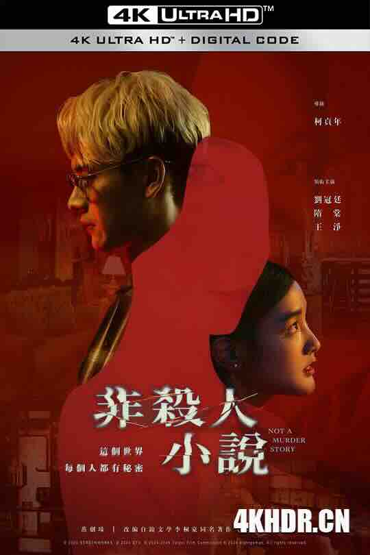 非杀人小说 非殺人小說 (2024) / Not A Murder Story / 4K电视剧下载