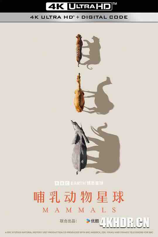 哺乳动物星球 Mammals (2024) / Mammals / 4K纪录片下载 / Mammals.2024.S01.2160p.iP.WEB-DL.AAC2.0.HLG.HEVC