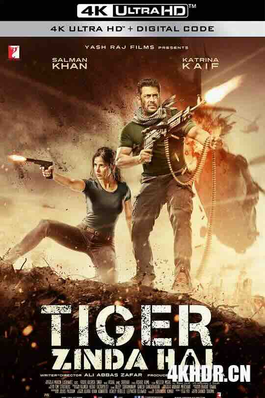 猛虎还活着 Tiger Zinda Hai (2017) / 老虎是活的 / Tiger Zinda Hai (2017) 2160p AMZN WEB-DL DDP5.1 H.265