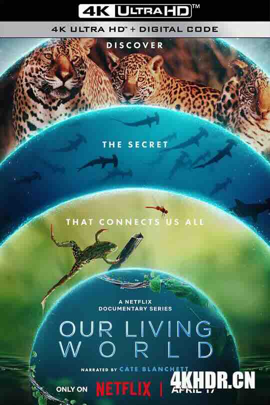 我们的生物世界 Our Living World (2024) / 我们生活的世界 / Our.Living.World.S01.2024.2160p.NF.WEB-DL.DDP5.1.Atmos.DV.HDR.H.265