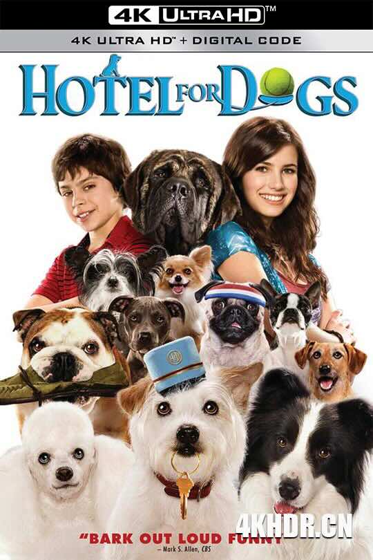 狗狗旅馆 Hotel for Dogs (2009) /流浪狗之家/狗店风云