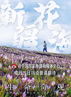生命奇观 2023 Spectacles of Life[中国大陆]豆瓣: