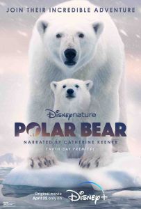 北极熊 Polar.Bear.2022.2160p.WEB-DL.x265.10bit.HDR.DDP5.1.Atmos-BREEZE