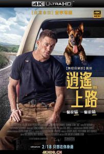 忠犬 Dog.2022.2160p.WEB-DL.x265.10bit.HDR.DDP5.1