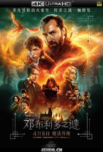 神奇动物：邓布利多之谜 Fantastic Beasts: The Secrets of Dumb...(2022)