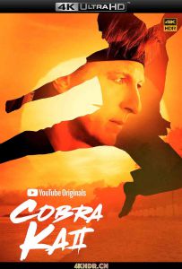 眼镜蛇 第三季 Cobra.Kai.S03.2160p.NF.WEB-DL.x265.10bit.SDR.DDP5.1