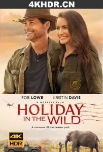 野外圣诞节 Holiday.in.the.Wild.2019.2160p.NF.WEB-DL.x265.10bit.HDR.DDP5....