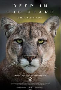 Deep in the Heart: A Texas Wildlife Story (2022)2160p.WEB-DL.x265.10bit.HDR.D...