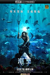 海王 Aquaman (2018) / 人鱼哥(豆友译名) / 水人 / 水行侠(港 / 台) / 潜水侠 / Aquaman.2018.2160p.UHD.Remux.HEVC.DoVi.TrueHD.Atmos.7.1-playBD