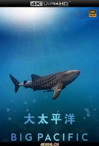 大太平洋 (2017) Big.Pacific.2017.S01.2160p.BluRay.REMUX.HEVC.SDR.DTS-HD.M...