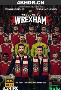 欢迎来到雷克斯汉姆 Welcome.To.Wrexham.S01.2160p.HULU.WEB-DL.x265.10b...