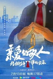 亲爱的敌人 (2022) / 亲爱的敌人：婚姻家事律师实录 / I'm Your Lawyer / 4K纪录片下载 / I.Am.Your.Lawyer.S01.2022.2160p.WEB-DL.H265.AAC